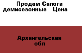 Продам Сапоги демисезонные › Цена ­ 400 - Архангельская обл., Архангельск г. Дети и материнство » Детская одежда и обувь   . Архангельская обл.